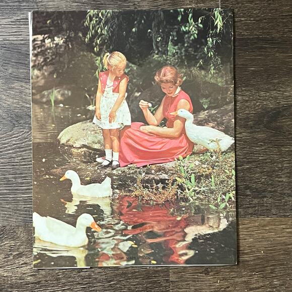 1950s Kitsch The Shady Lagoon Girl Feeding Geese 8x10 Art Print V2-1 - Picture 2 of 2